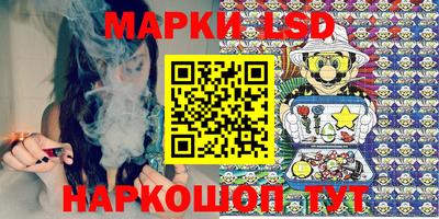 прущие грибы Можга