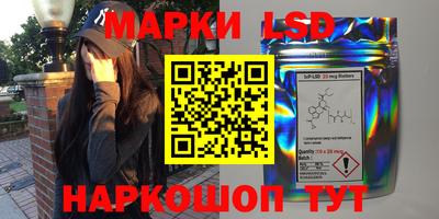 прущие грибы Можга