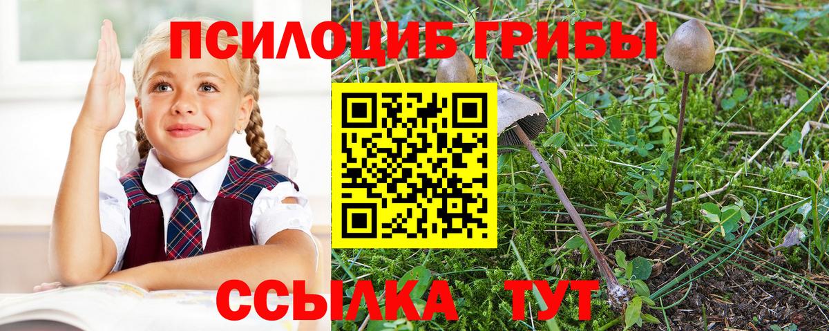 Псилоцибиновые грибы Magic Shrooms  Вход с VPN  Галлюциногенные грибы мухоморы  Зима 
